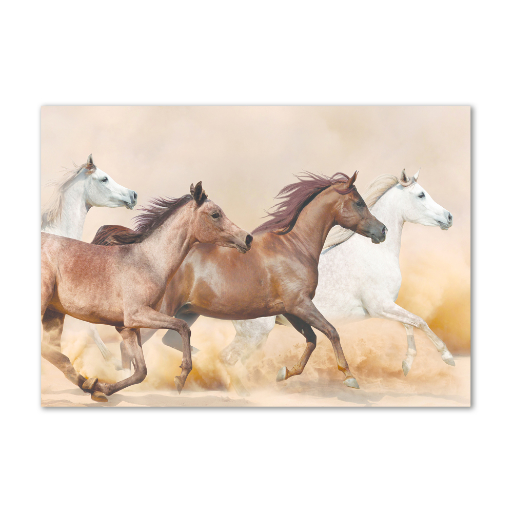 Tableau sur verre acrylique Chevaux au galop