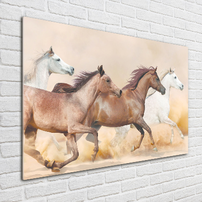 Tableau sur verre acrylique Chevaux au galop