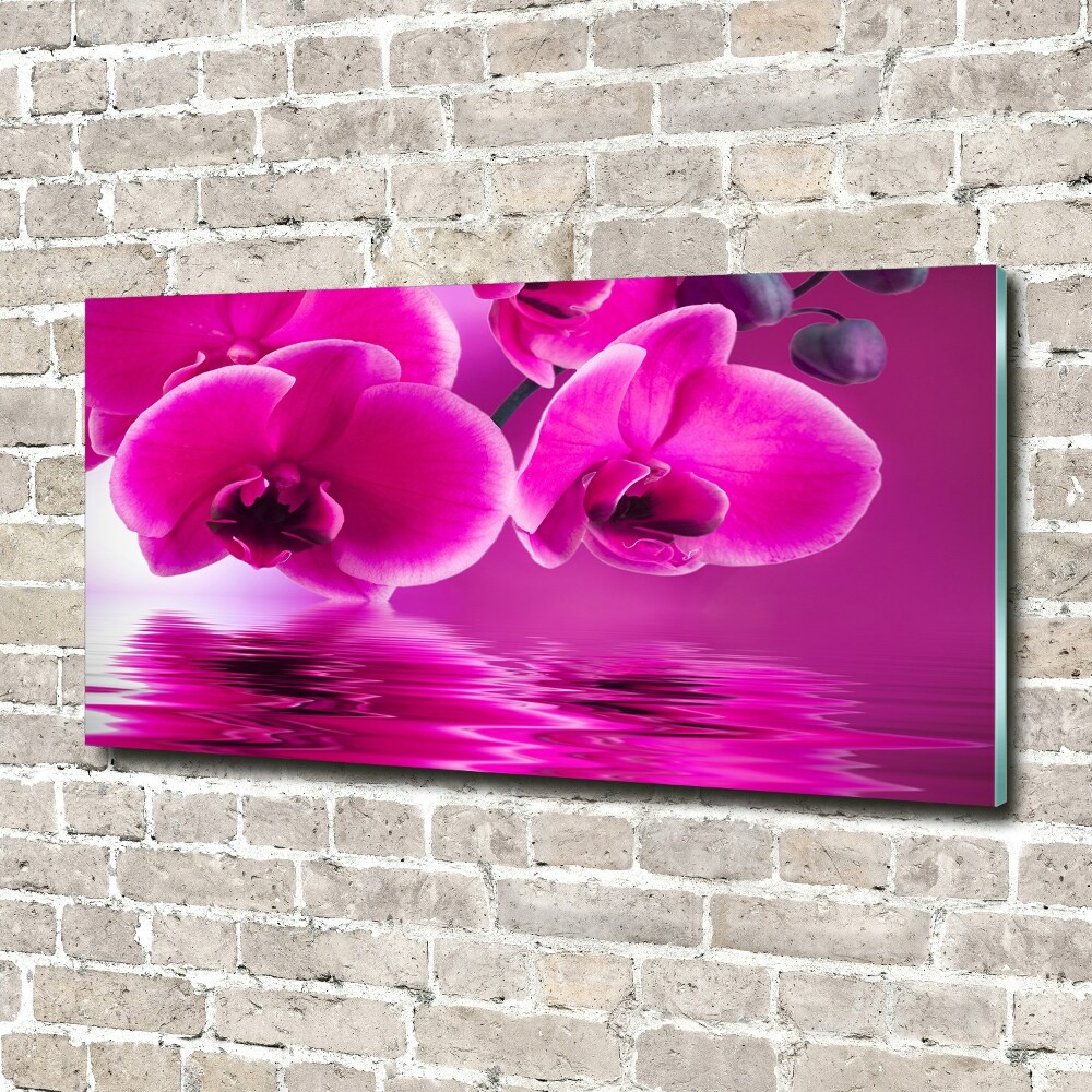 Tableau en acrylique Fleur d'orchidée