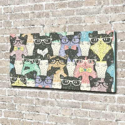 Acrylique tableau Chats avec lunettes