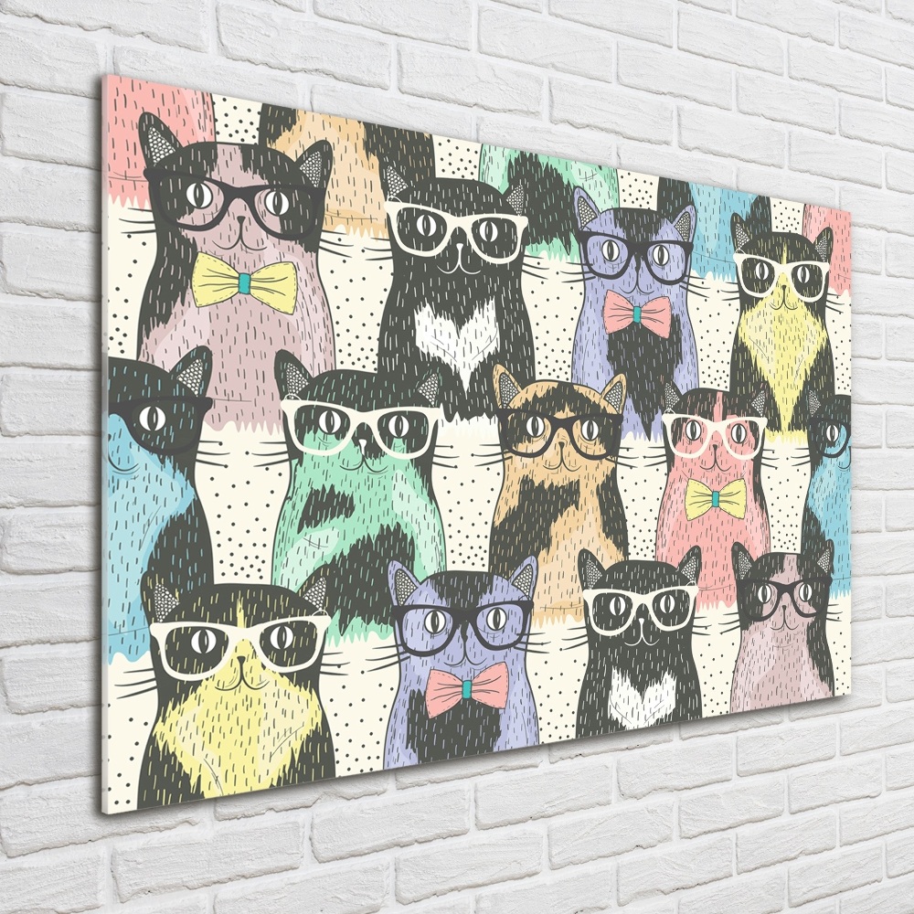 Acrylique tableau Chats avec lunettes