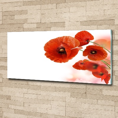 Tableau en acrylique Coquelicots rouges