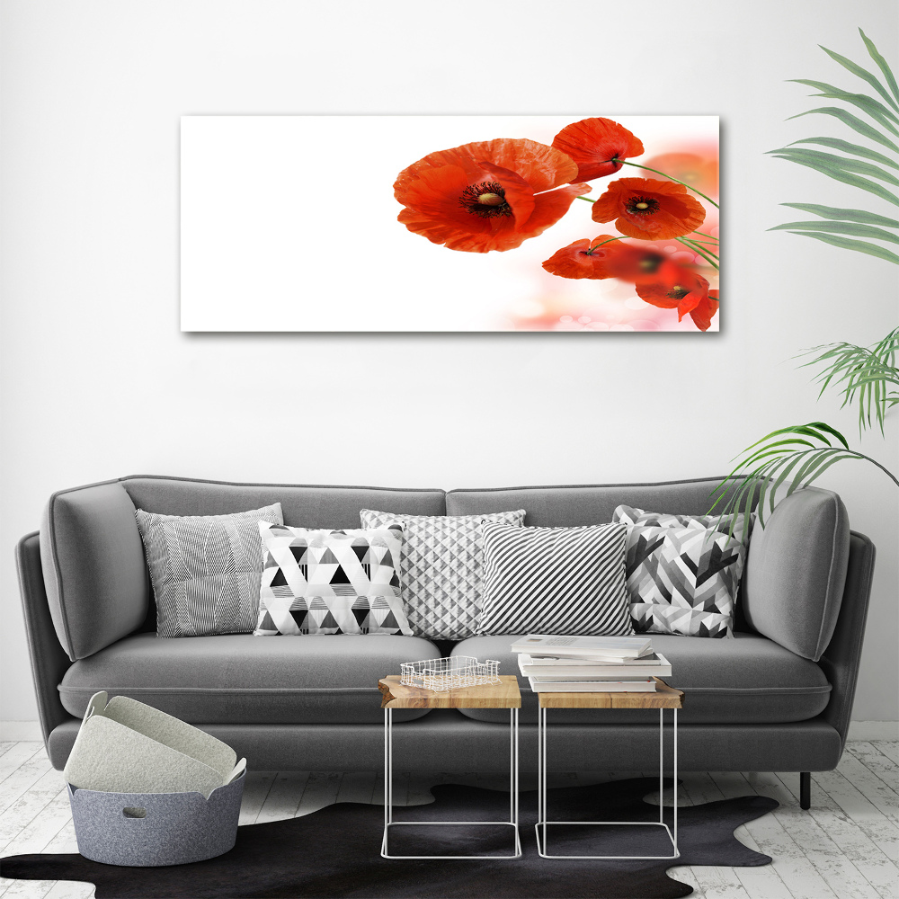 Tableau en acrylique Coquelicots rouges