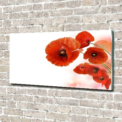 Tableau en acrylique Coquelicots rouges