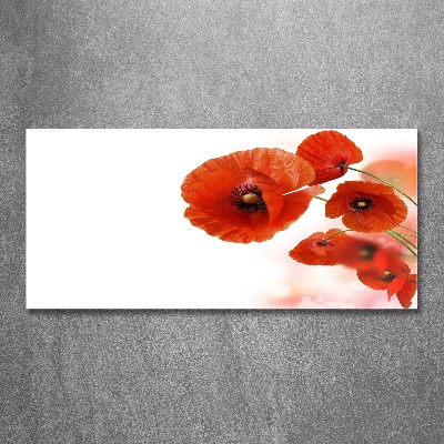 Tableau en acrylique Coquelicots rouges