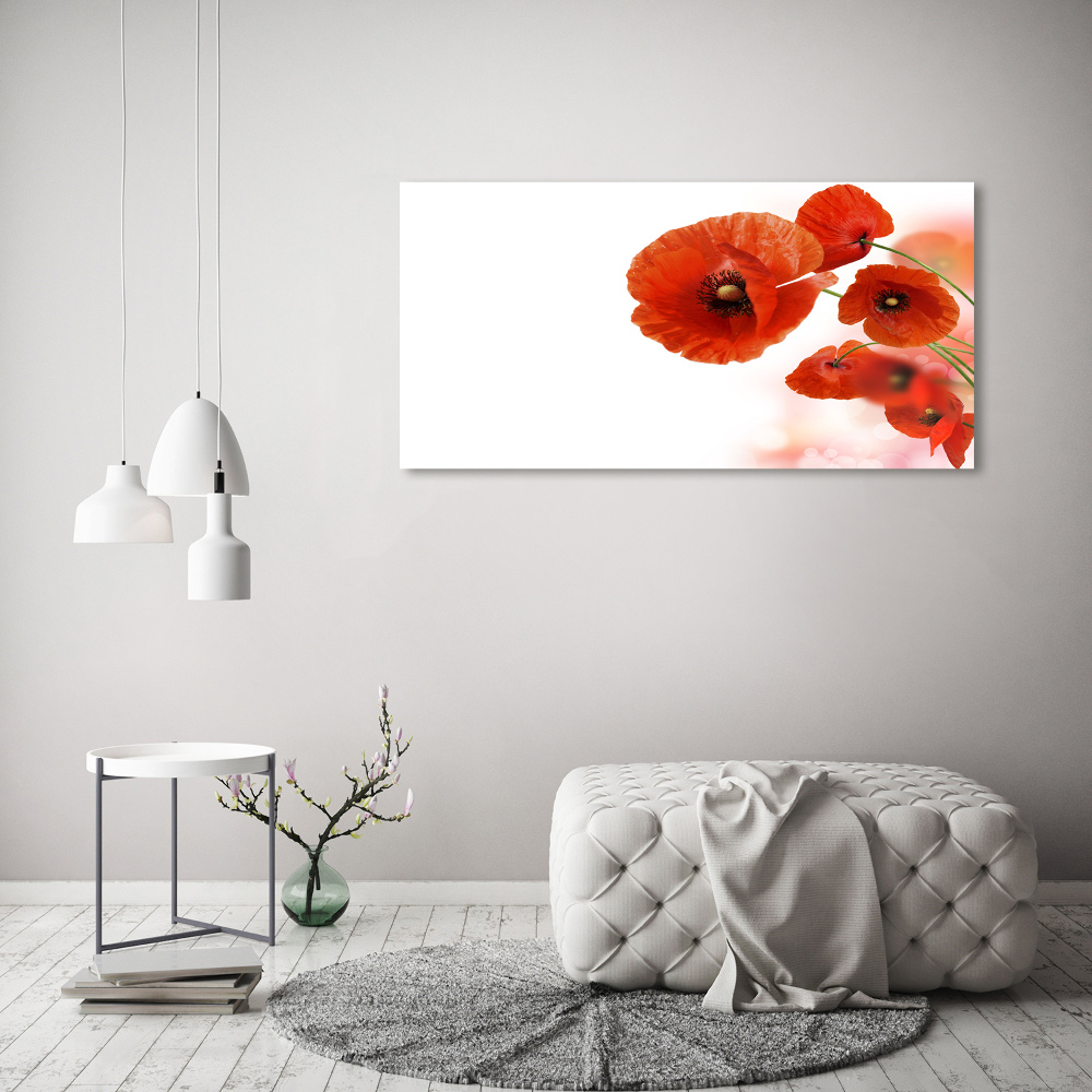 Tableau en acrylique Coquelicots rouges