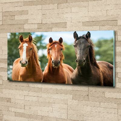 Acrylique tableau Trois chevaux