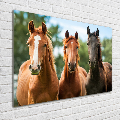 Acrylique tableau Trois chevaux