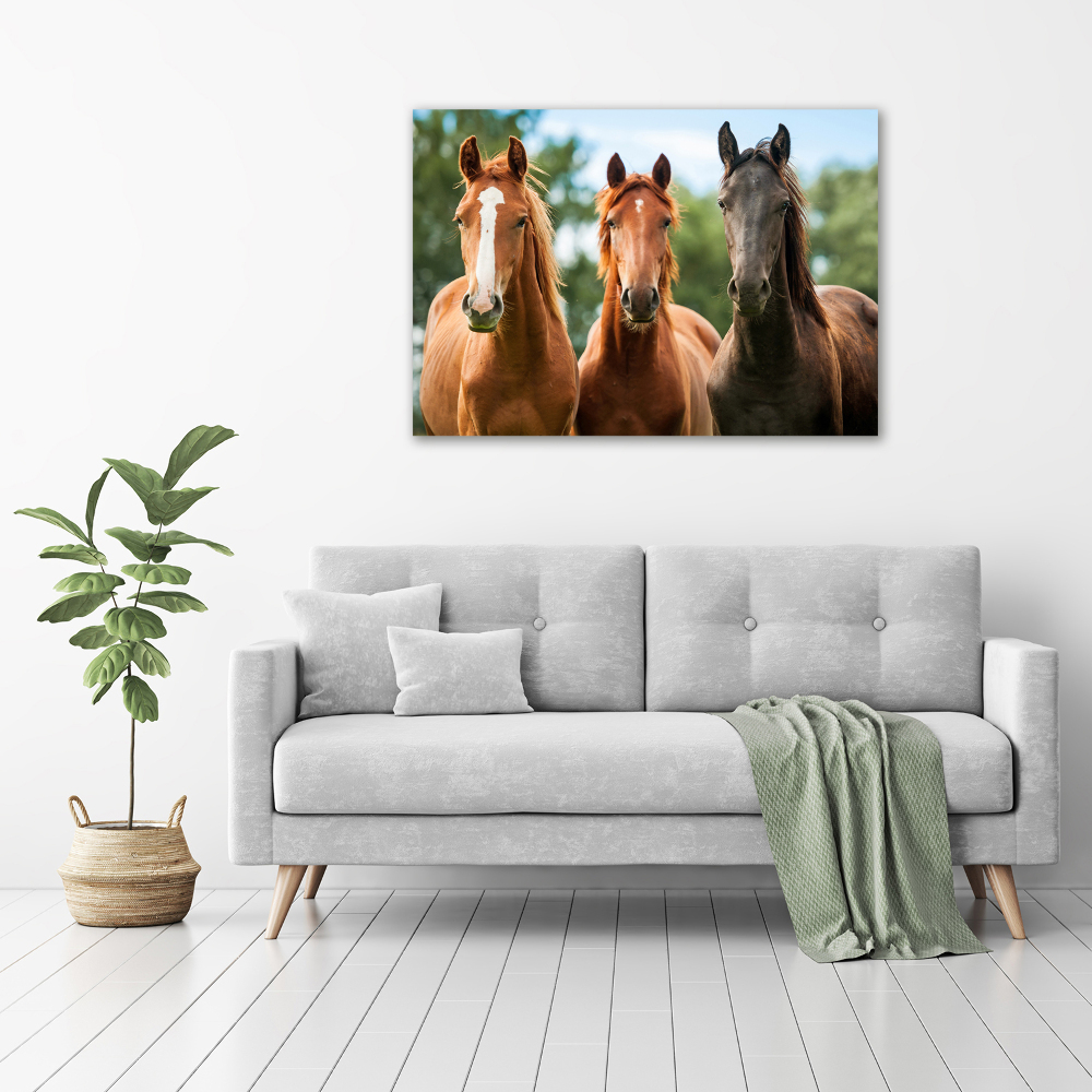 Acrylique tableau Trois chevaux