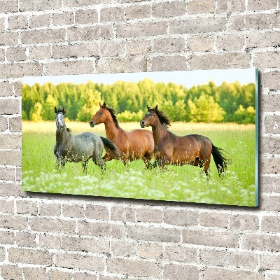 Tableau acrylique Chevaux au galop