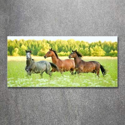 Tableau acrylique Chevaux au galop