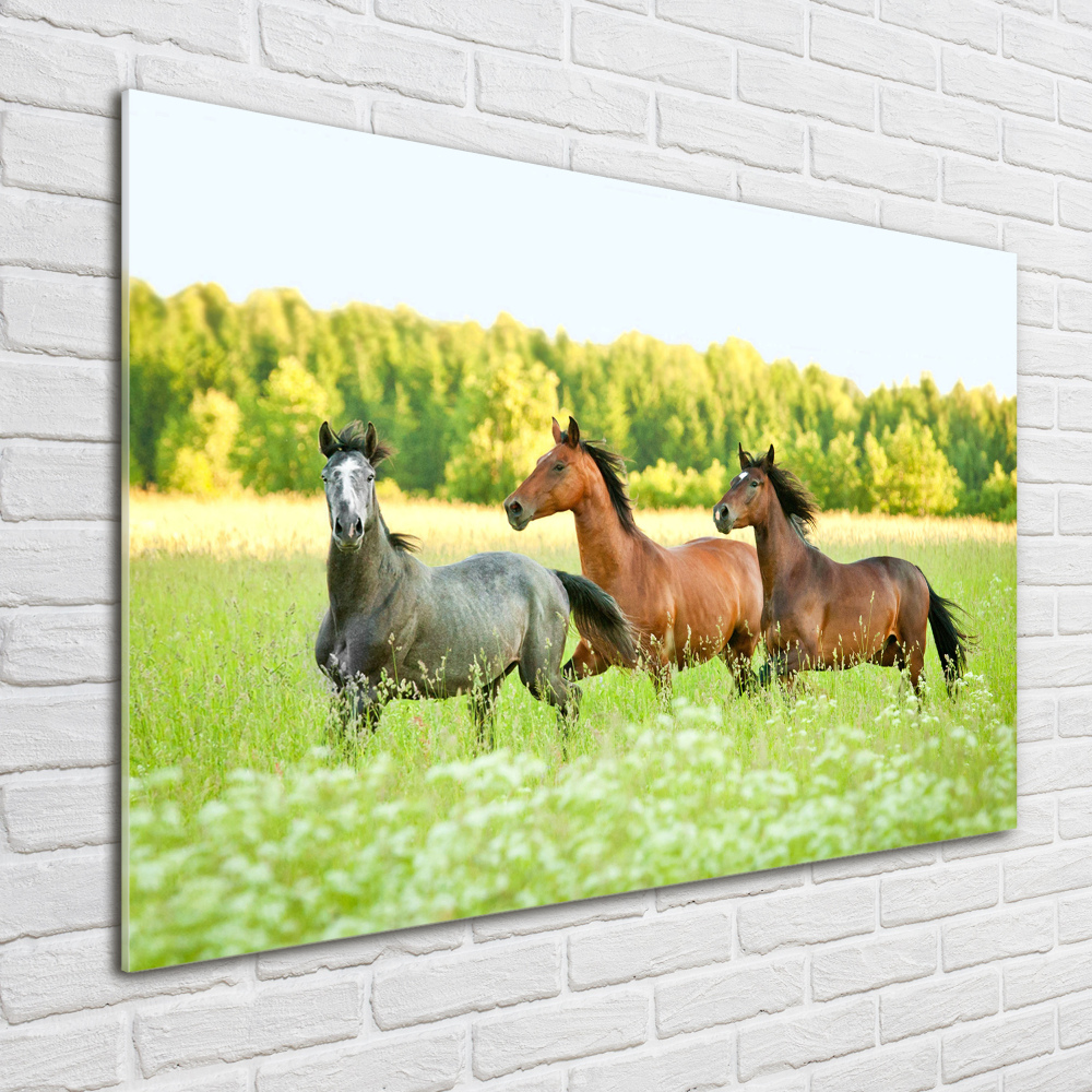 Tableau acrylique Chevaux au galop