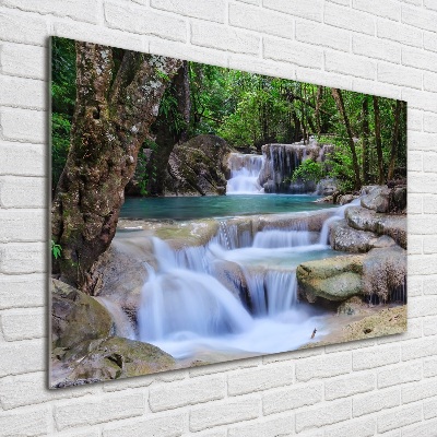 Tableau sur verre acrylique Cascade dans la forêt