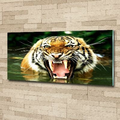 Tableau verre acrylique Tigre rugissant