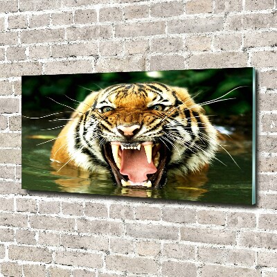 Tableau verre acrylique Tigre rugissant