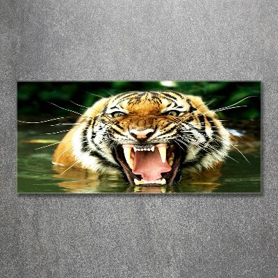 Tableau verre acrylique Tigre rugissant