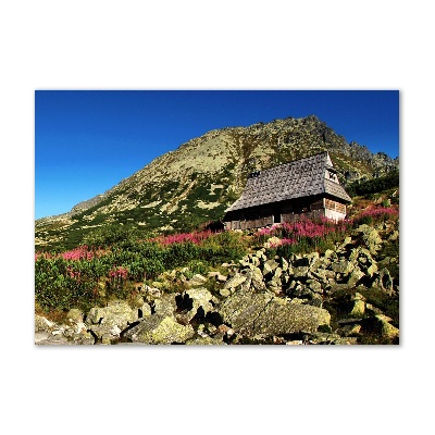 Tableau verre acrylique Cabane de berger dans la vallée