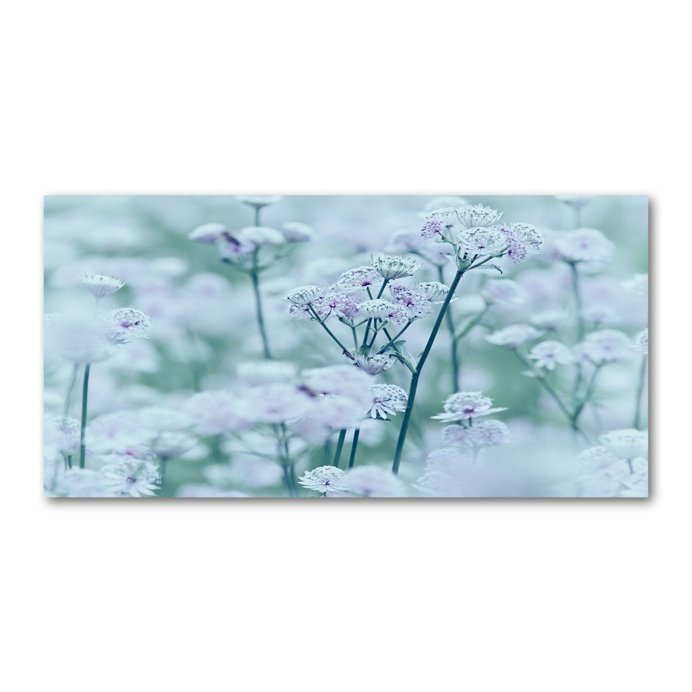 Tableau verre acrylique Rowanberry