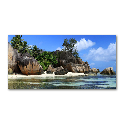 Acrylique tableau Panorama des Seychelles