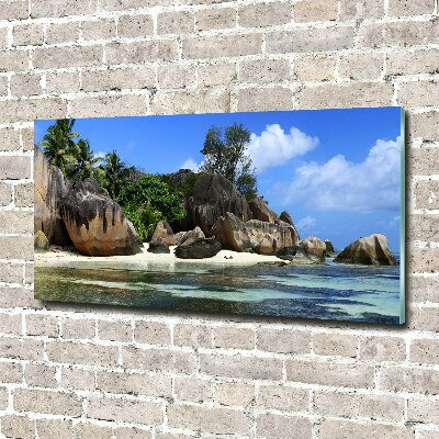 Acrylique tableau Panorama des Seychelles