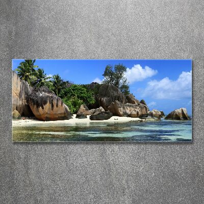 Acrylique tableau Panorama des Seychelles