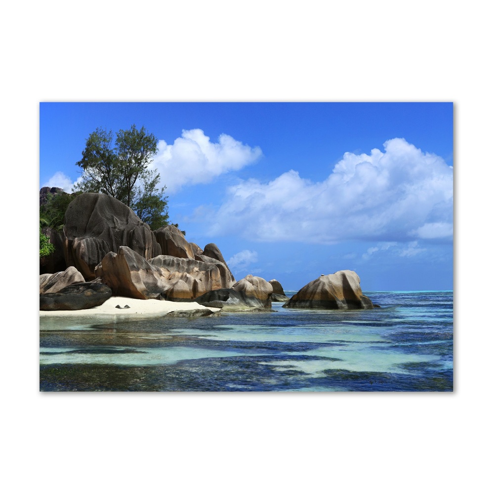 Acrylique tableau Panorama des Seychelles