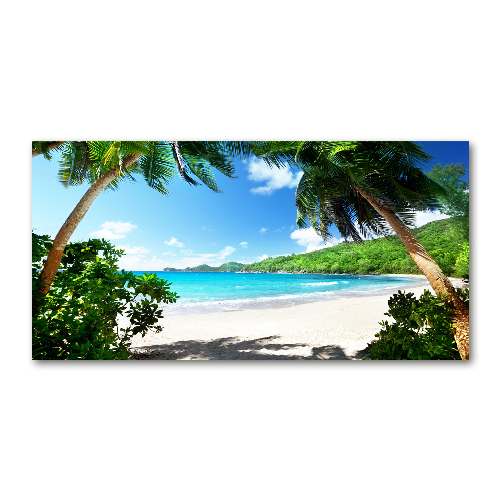 Tableau verre acrylique Plage des Seychelles