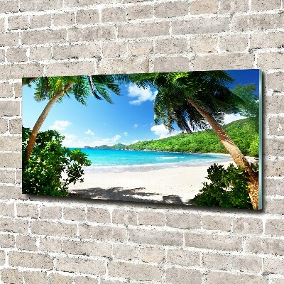 Tableau verre acrylique Plage des Seychelles