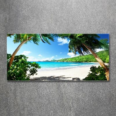 Tableau verre acrylique Plage des Seychelles