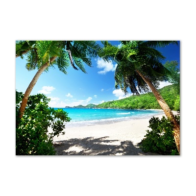 Tableau verre acrylique Plage des Seychelles