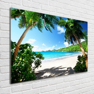 Tableau verre acrylique Plage des Seychelles