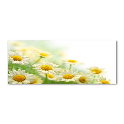 Acrylique tableau Marguerites