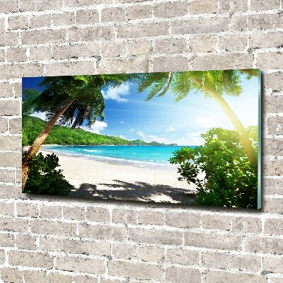 Tableau verre acrylique Plage des Seychelles