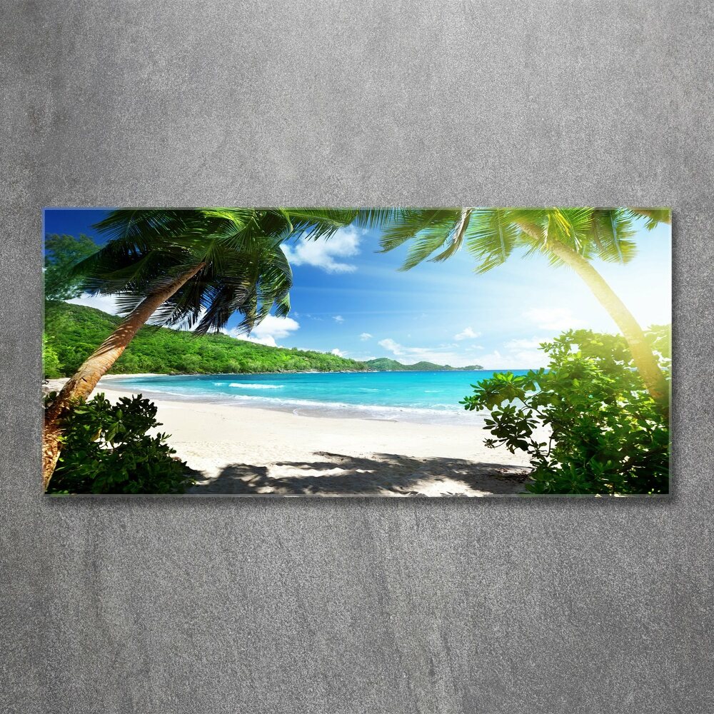 Tableau verre acrylique Plage des Seychelles