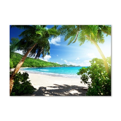 Tableau verre acrylique Plage des Seychelles