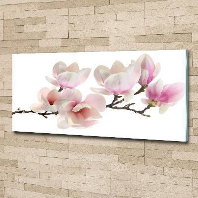 Tableau en acrylique Magnolia