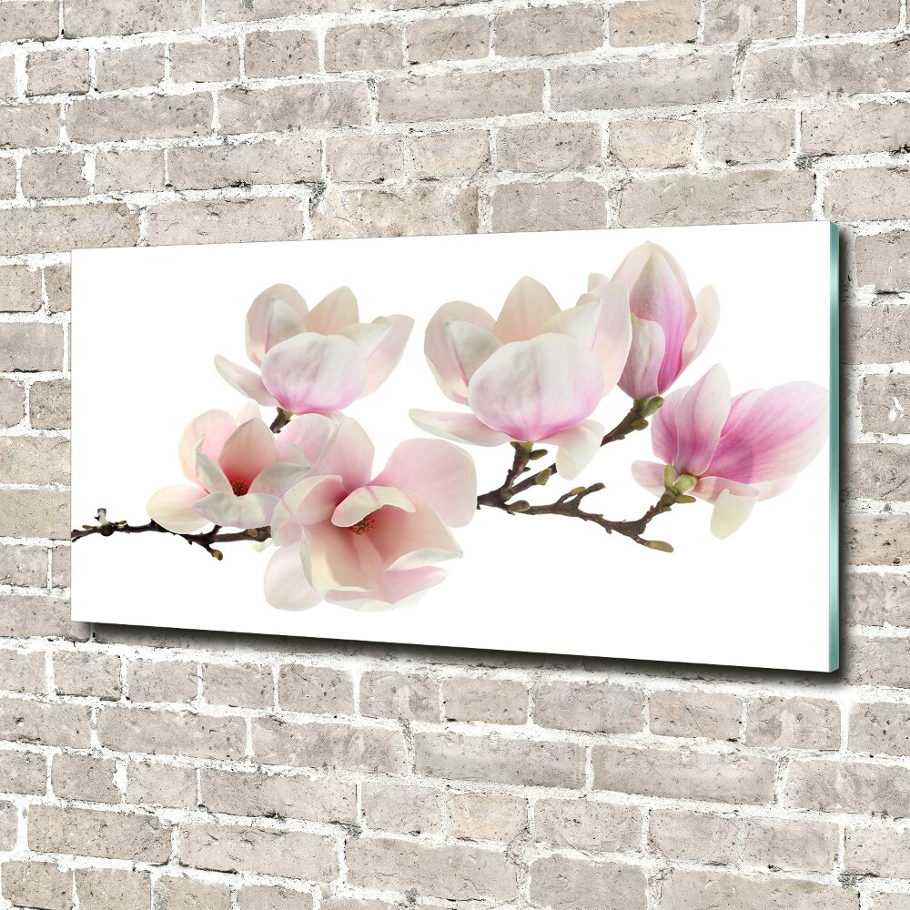 Tableau en acrylique Magnolia