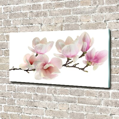 Tableau en acrylique Magnolia