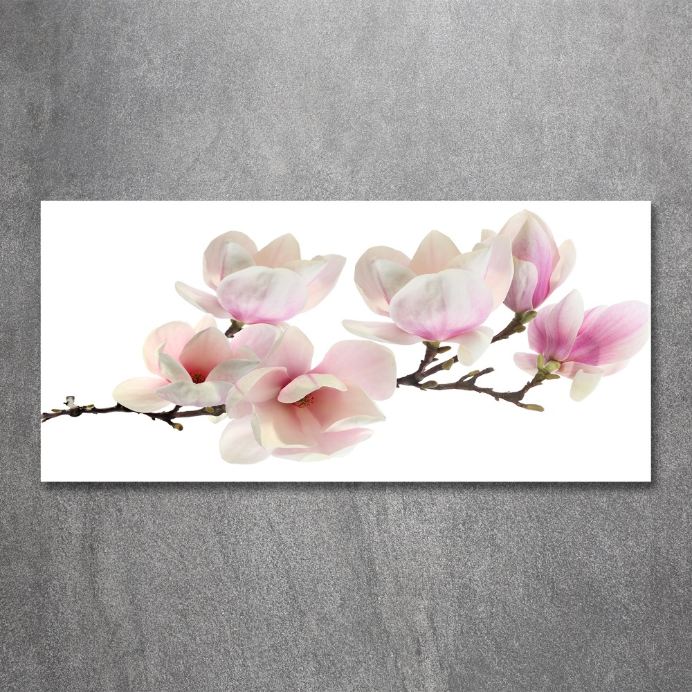 Tableau en acrylique Magnolia