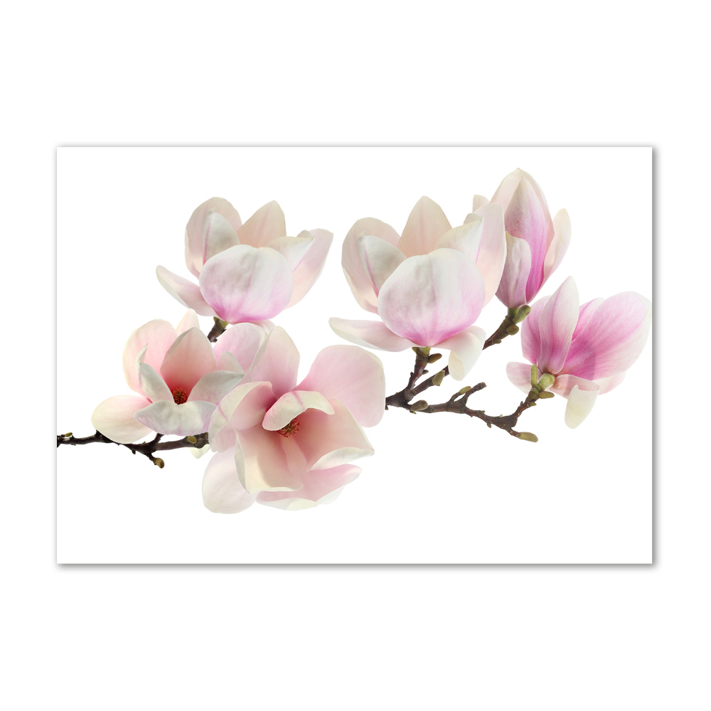 Tableau en acrylique Magnolia