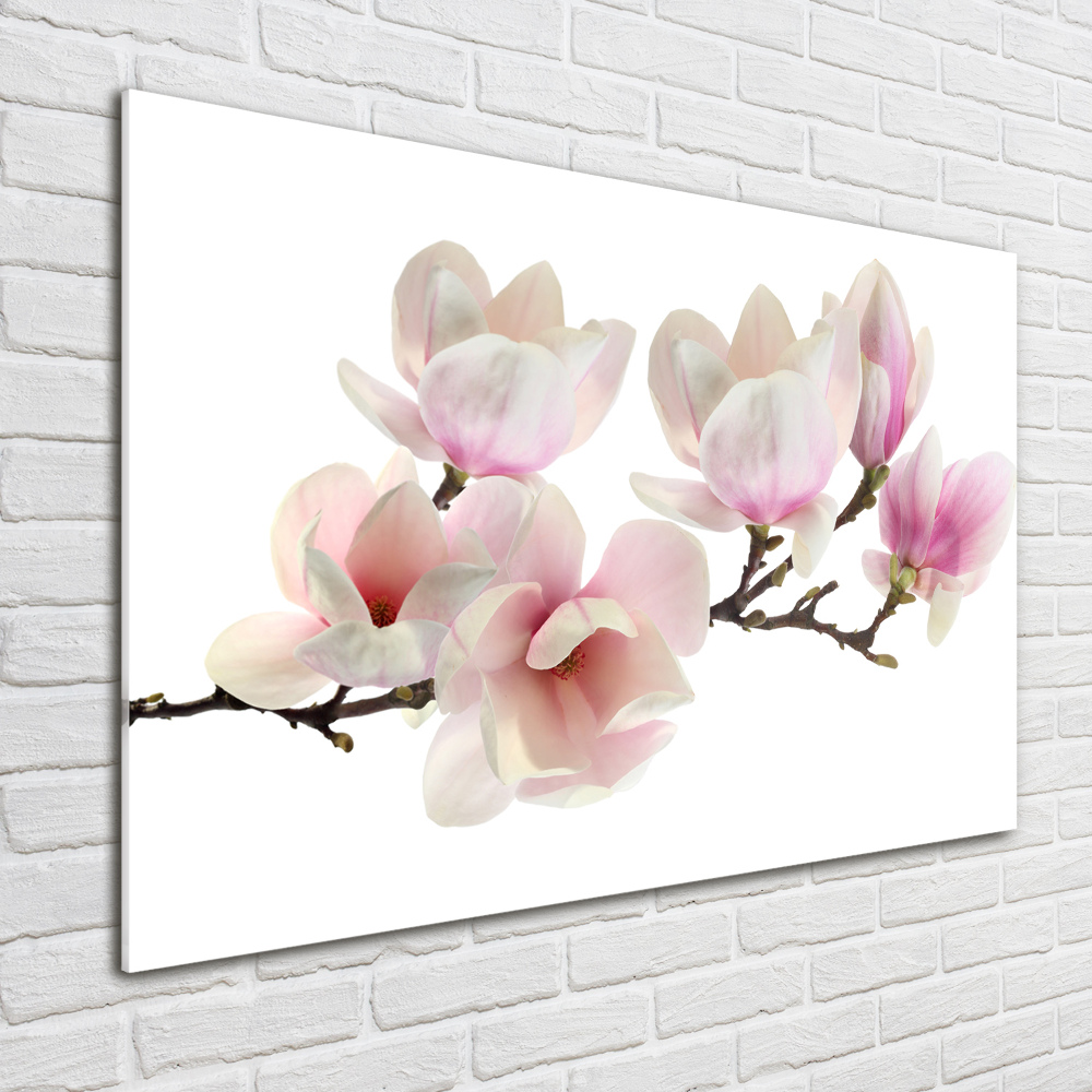 Tableau en acrylique Magnolia