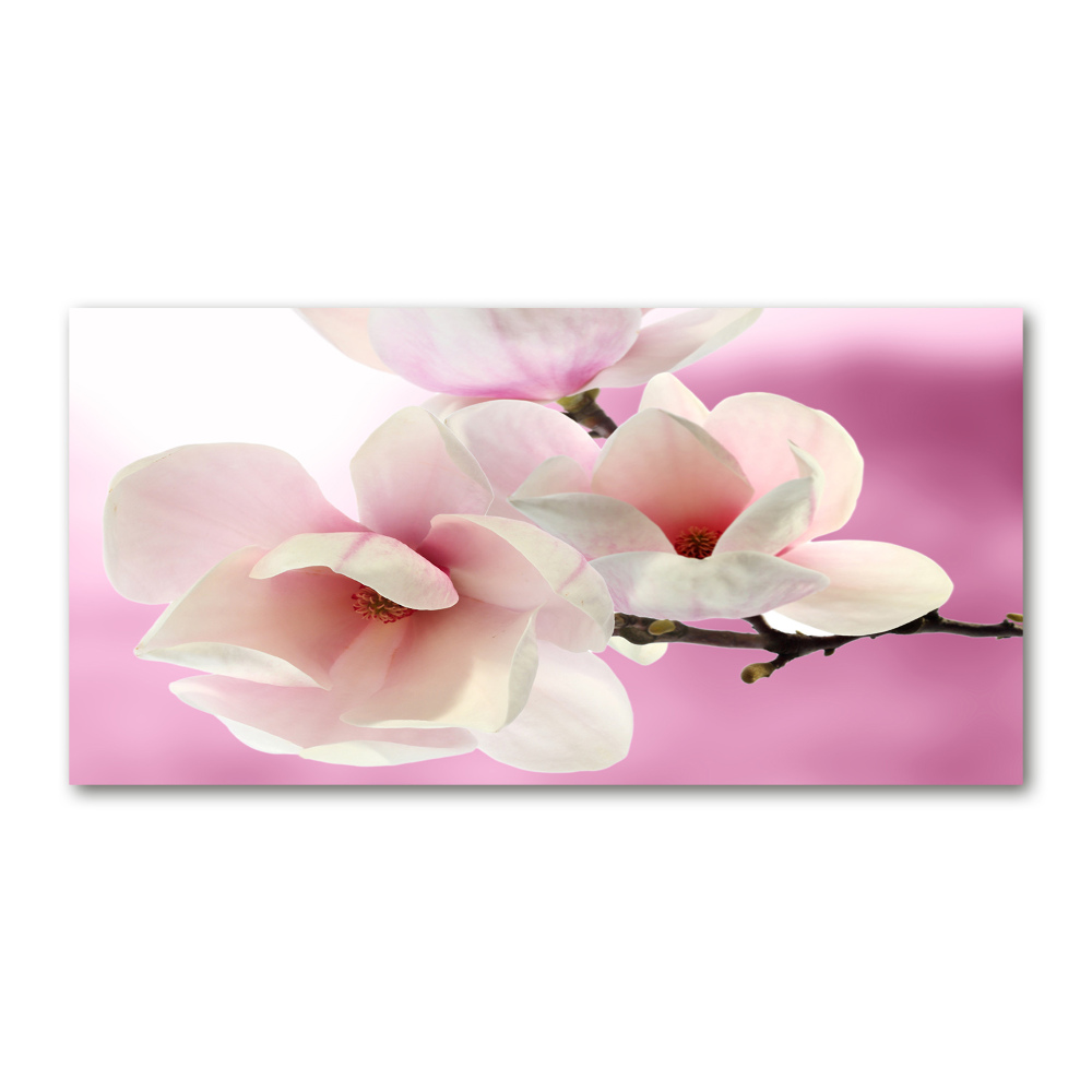 Tableau verre acrylique Magnolia