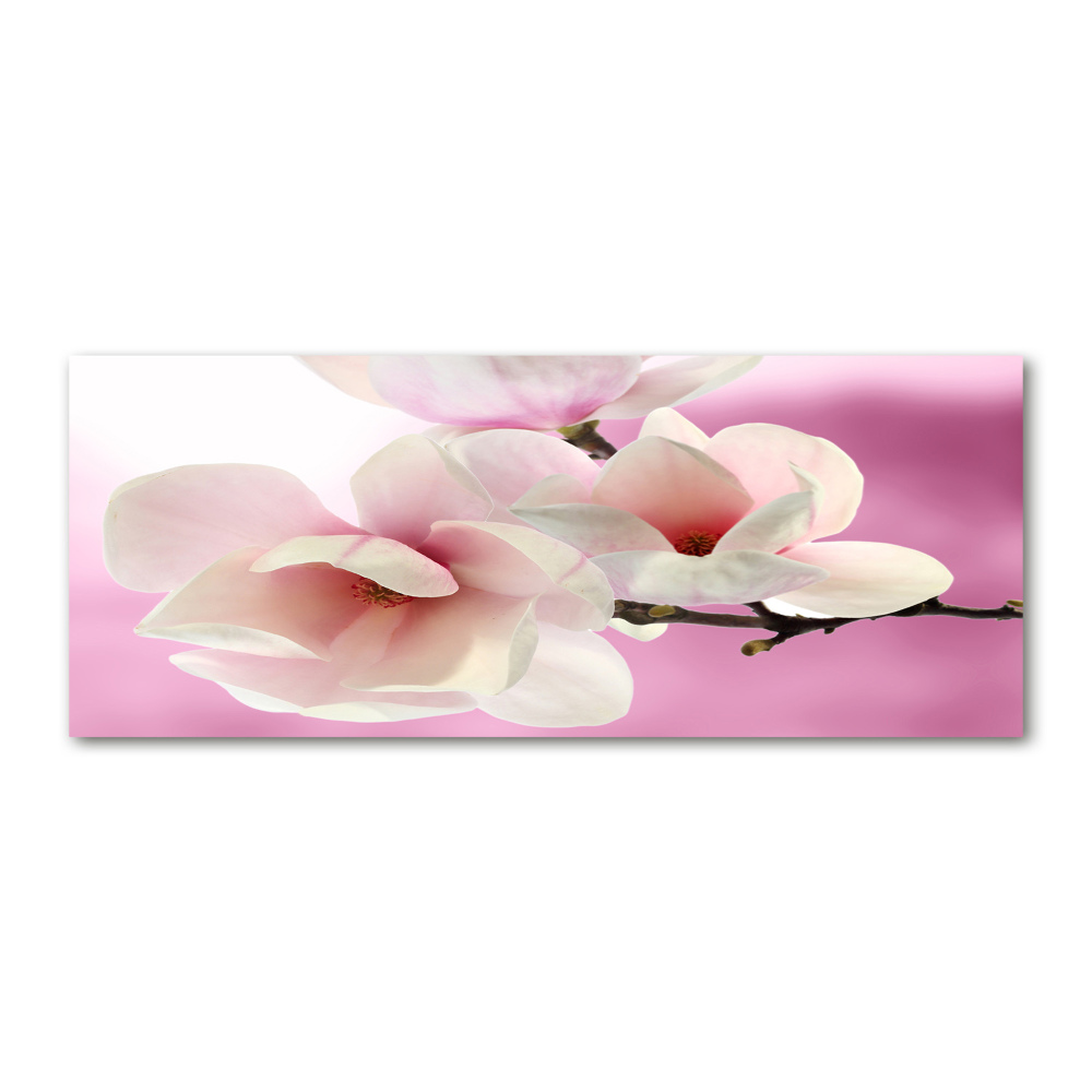 Tableau verre acrylique Magnolia