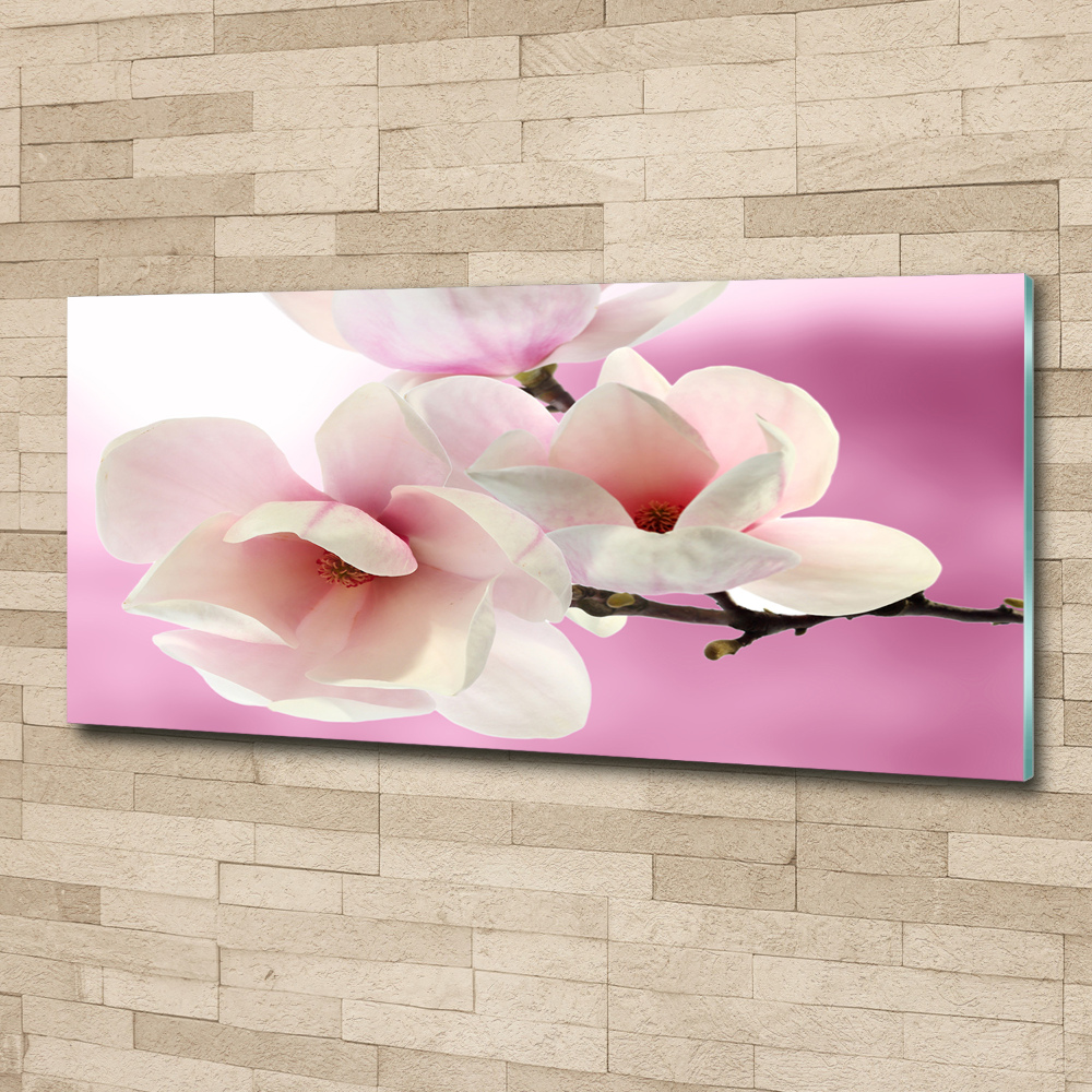 Tableau verre acrylique Magnolia