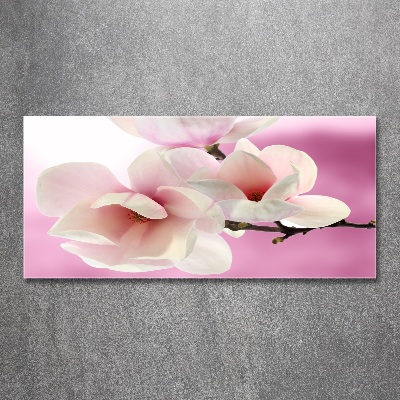 Tableau verre acrylique Magnolia