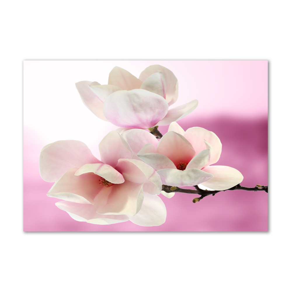 Tableau verre acrylique Magnolia