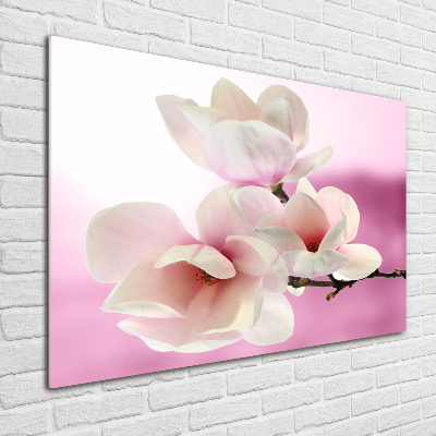 Tableau verre acrylique Magnolia