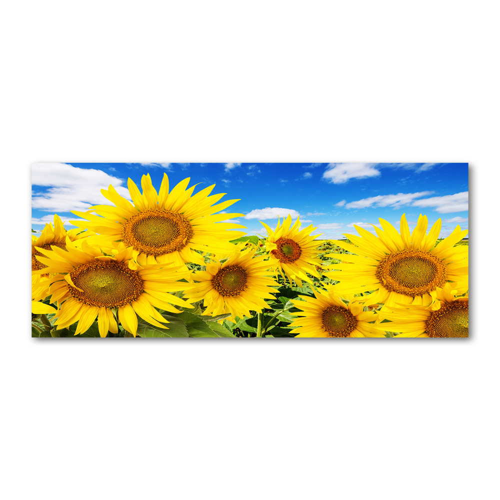 Tableau acrylique Tournesol