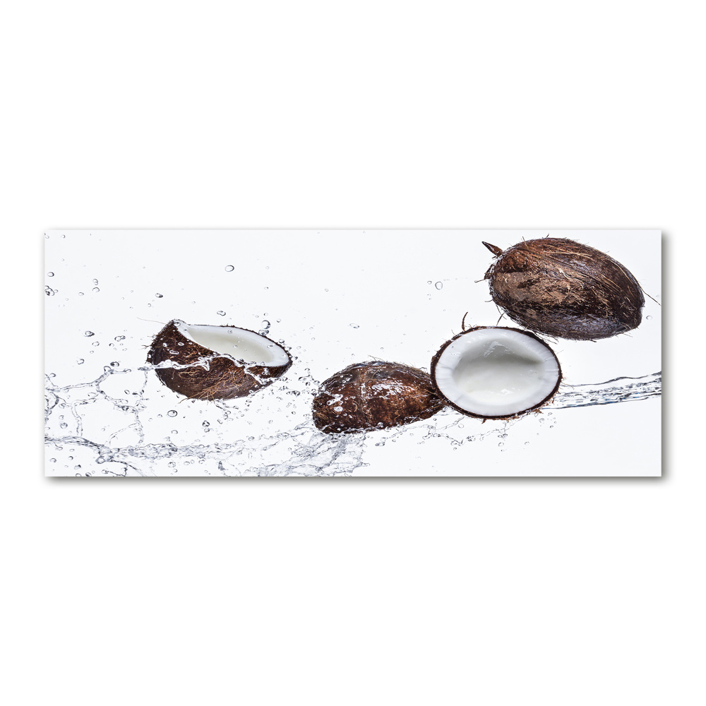 Tableau sur verre acrylique Noix de coco et eau