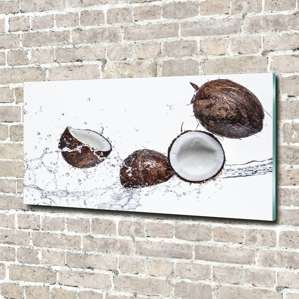 Tableau sur verre acrylique Noix de coco et eau